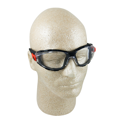 Delta Plus Go-Specs Clear Anti-Fog Foam-Lined Safety Glasses Questions & Answers